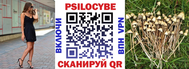 гидра рабочий сайт  нарко площадка клад  Псилоцибиновые грибы MAGIC MUSHROOMS  купить  цена  Видное 